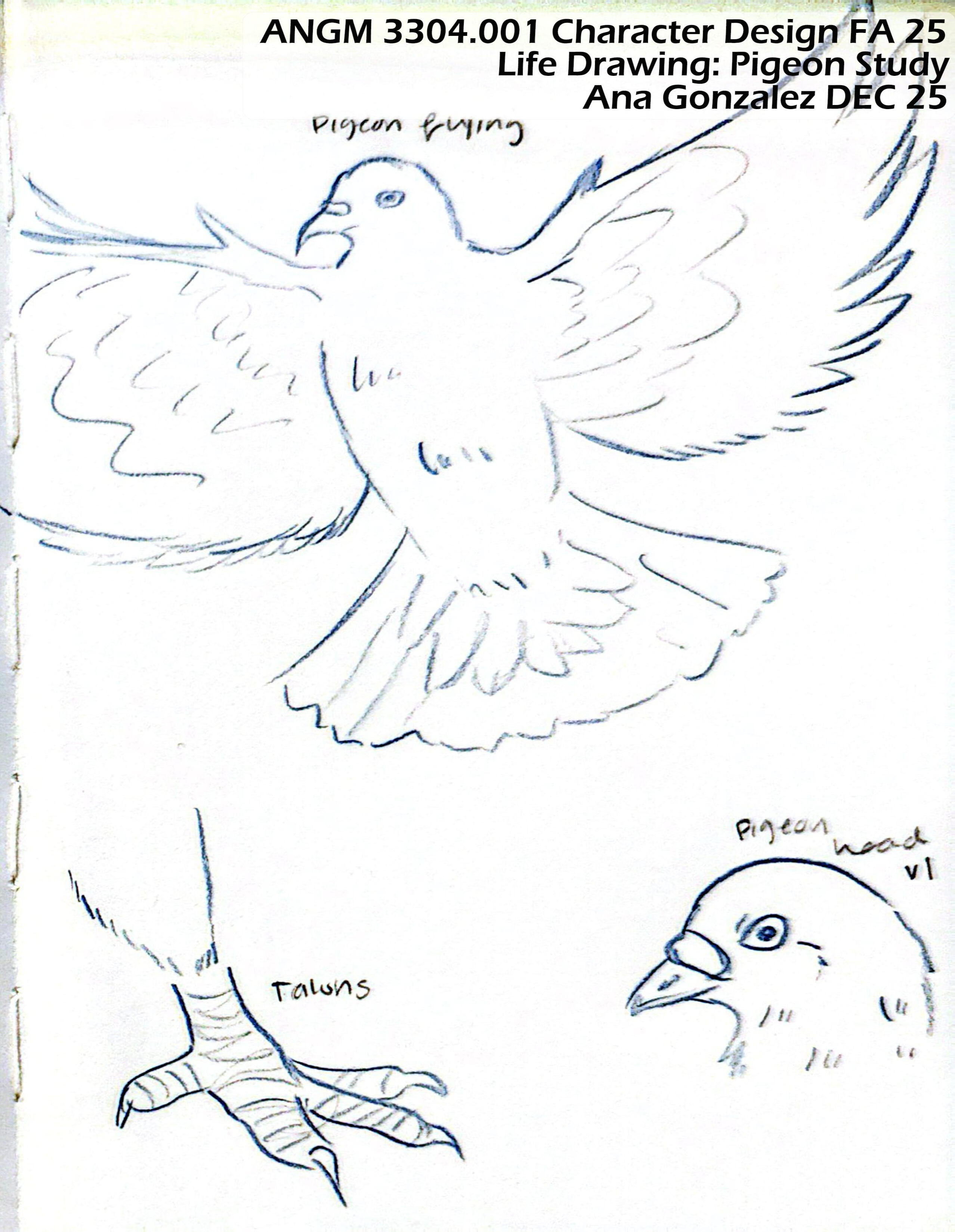 Studies